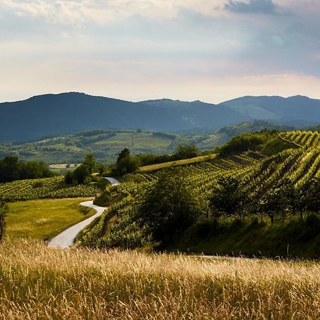 Fine Rooms Vipava Zewnętrze zdjęcie