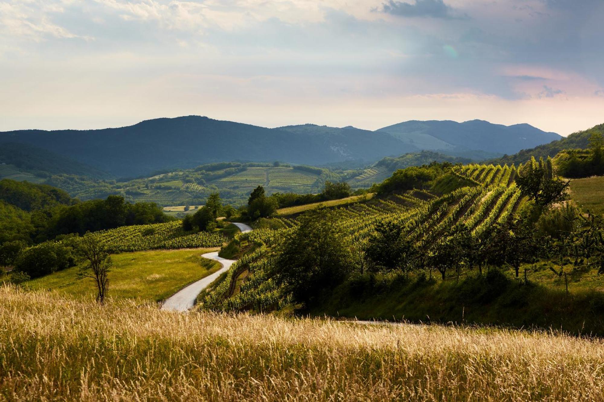 Fine Rooms Vipava Zewnętrze zdjęcie