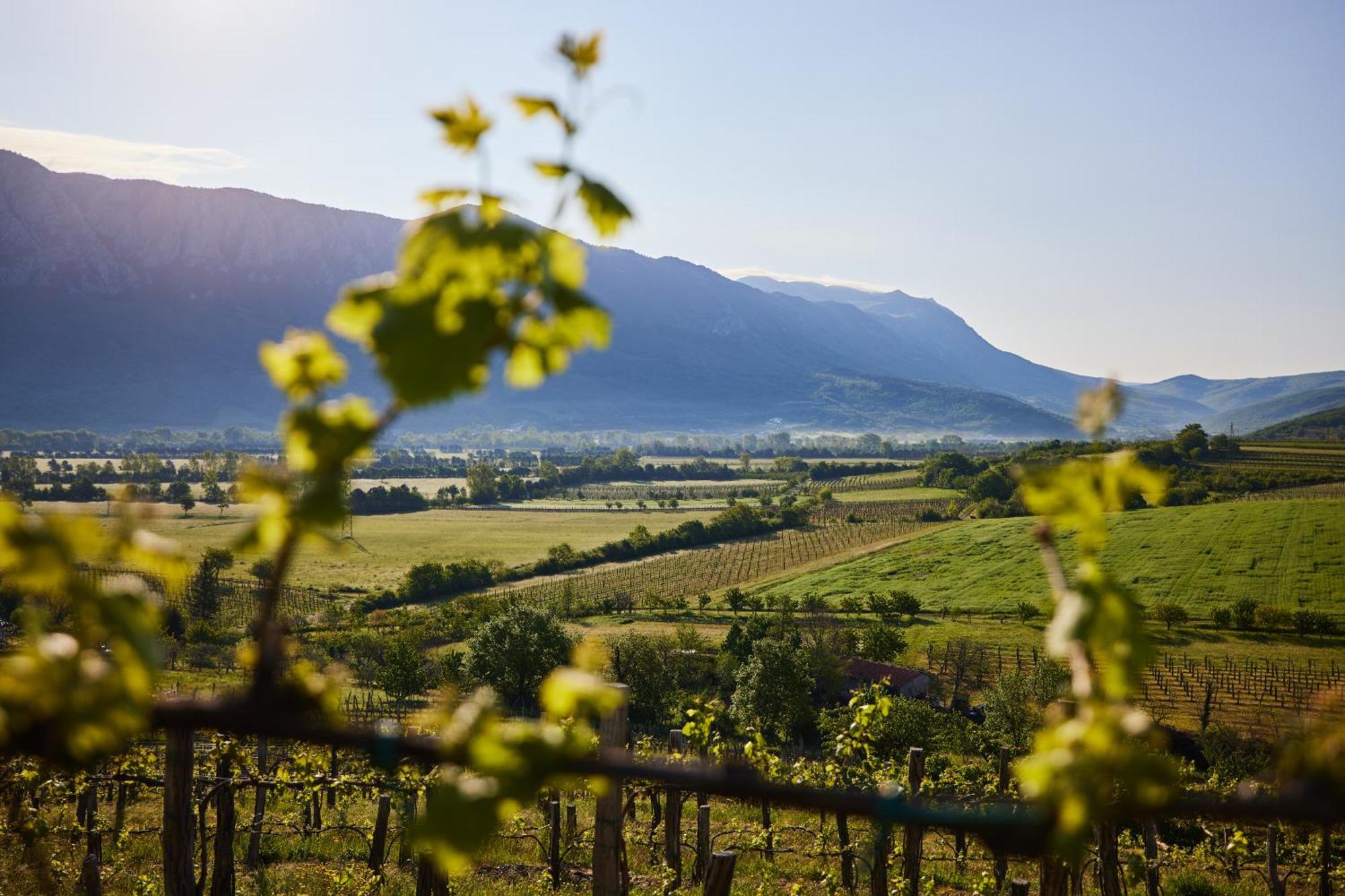 Fine Rooms Vipava Zewnętrze zdjęcie