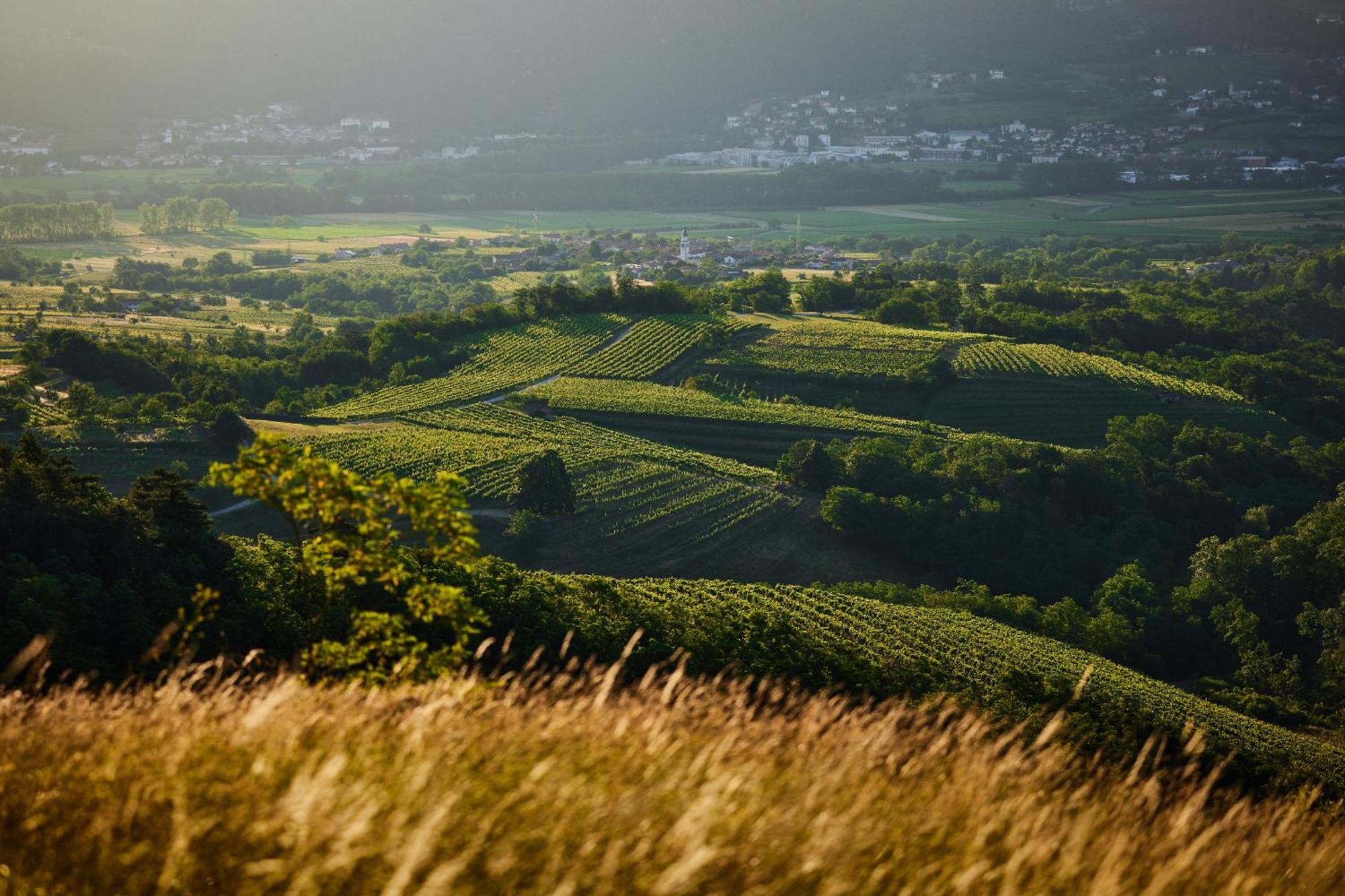 Fine Rooms Vipava Zewnętrze zdjęcie